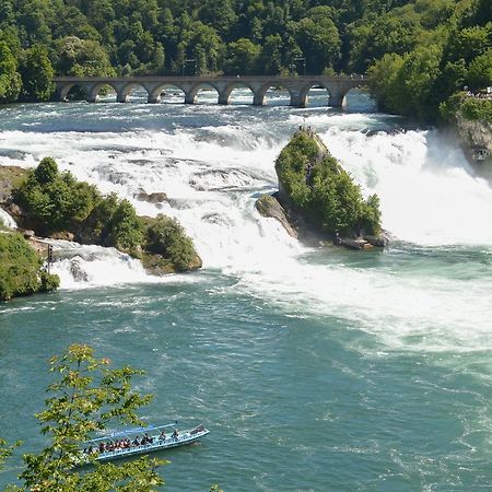 Hotel Chlosterhof شتاين ام رين المظهر الخارجي الصورة